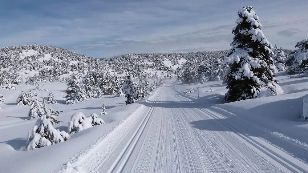 Apartament Greolieres Les Neiges Francja